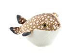 Plyš Ryba ježík 22 cm