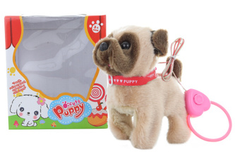 Pejsek hnědý - bez vodítka