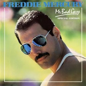 Mr Bad Guy LP
