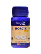 Hořčík 300 mg 120 tablet