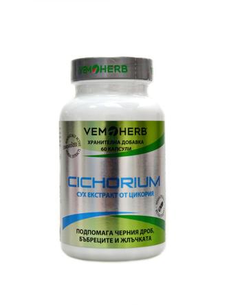 Cichorium 60 kapslí (Čekanka obecná)