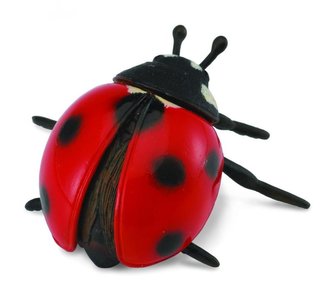 COLLECTA Beruška