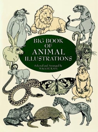 Big Book Animal Illustrations