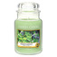 Yankee Candle Wild Mint Candle ( divoká máta ) - Vonná svíčka 411. ml unisex