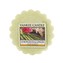 Yankee Candle Lemongrass & Ginger Wax ( citrónová tráva a zázvor ) - Vonný vosk do aromalampy 22. ml unisex