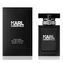 Lagerfeld Karl Lagerfeld for Him Toaletní voda 100 ml pro muže