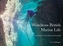Wondrous British Marine Life