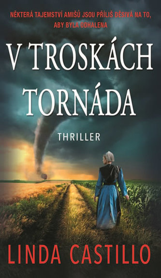 V troskách tornáda
