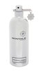 Montale Paris Patchouli Leaves Parfémovaná voda 100 ml unisex