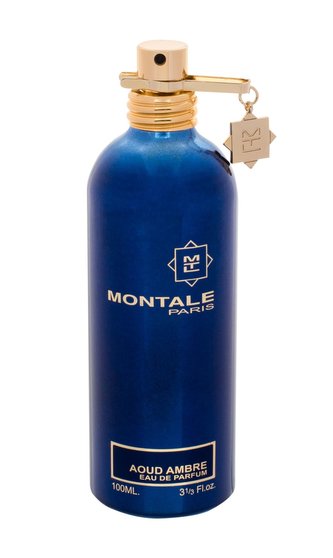 Montale Paris Aoud Ambre Parfémovaná voda 100 ml unisex