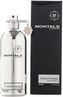 Montale Paris Fruits Of The Musk Parfémovaná voda 100 ml unisex