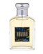 Aramis Havana Toaletní voda 100 ml pro muže