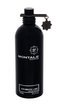 Montale Paris Aromatic Lime Parfémovaná voda 100 ml unisex