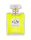 Chanel No. 19 Parfémovaná voda 100 ml pro ženy