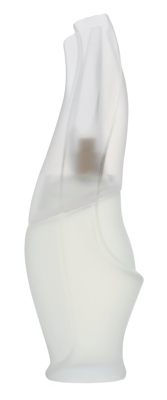 DKNY Cashmere Mist Toaletní voda 100 ml pro ženy