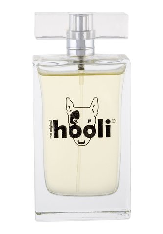 Parfum Collection The Original Hooli Toaletní voda 100 ml pro muže