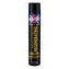 Ronney Salon Premium Professional Lak na vlasy Multi Fruit 750 ml pro ženy