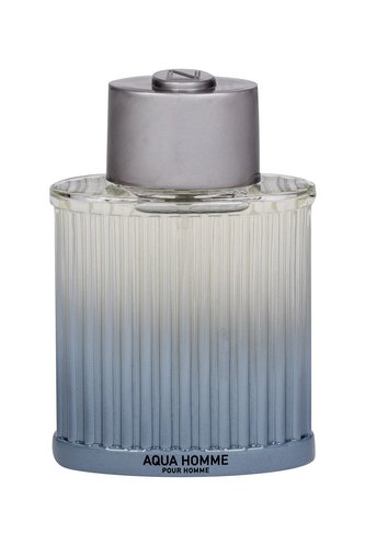 Nuvo Parfums Aqua Toaletní voda 100 ml pro muže