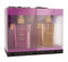 Victoria´s Secret Victoria´s Secret Giftset Coconut Passion & Love Addict - vyživující tělový spray 2x 125 ml + tělové mléko 2x 60 ml + sprchový gel 2x 60 ml + mycí houba 2x