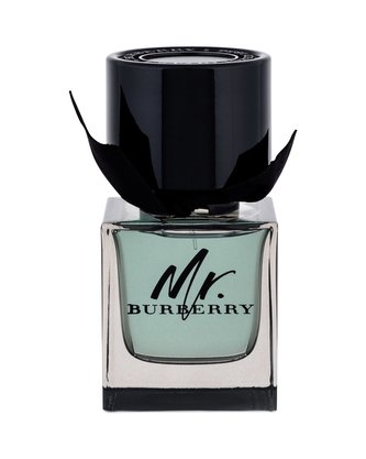 Burberry Mr. Burberry Toaletní voda 50 ml pro muže