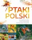 Ptaki Polski