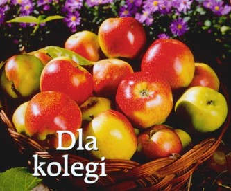 DLA KOLEGI PEREŁKI