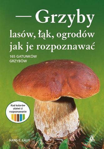 Grzyby lasów, łąk i ogrodów - jak je rozpoznawać. 165 gatunków grzybów Grzyby lasów, łąk i ogrodów - jak je rozpoznawać. 165 gatunków grzybów