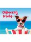 ODPOCZNIJ TROCHĘ PEREŁKI
