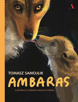 Ambaras Ambaras