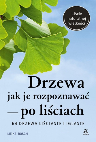 Drzewa - jak je rozpoznawać po liściach Drzewa - jak je rozpoznawać po liściach