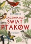 Zadziwiający świat ptaków