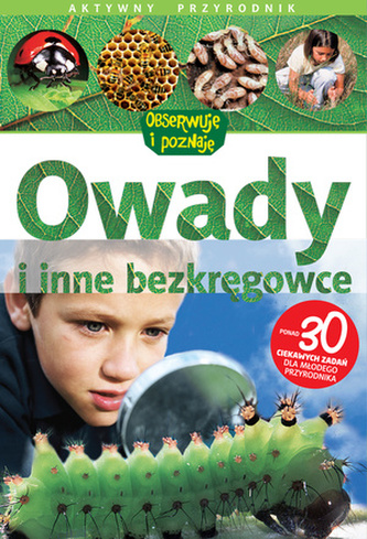 Owady i inne bezkręgowce. Aktywny przyrodnik. Obserwuję i poznaję
