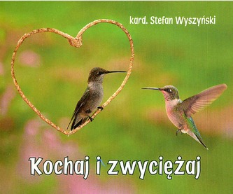 KOCHA I ZWYCIĘŻAJ PEREŁKI