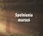 SPEŁNIENIA MARZEŃ PEREŁKI