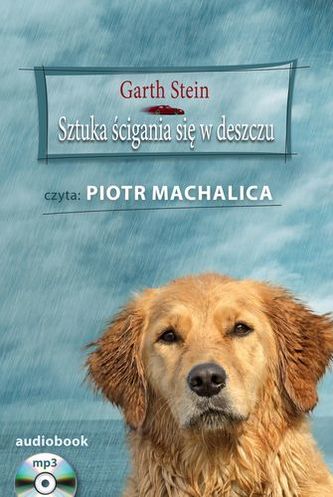 CD MP3 SZTUKA ŚCIGANIA SIĘ W DESZCZU