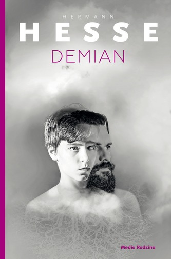 DEMIAN DEMIAN