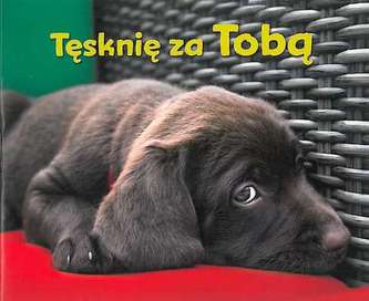 TĘSKNIĘ ZA TOBĄ PEREŁKI