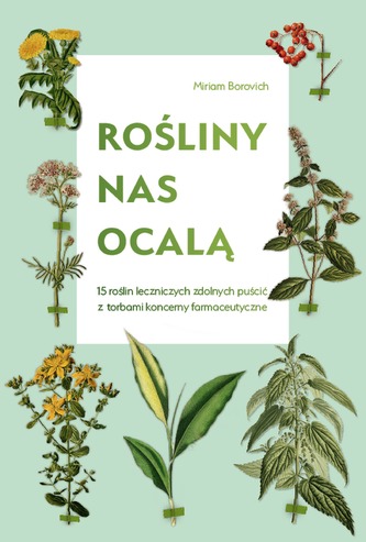ROŚLINY NAS OCALĄ 15 ROŚLIN LECZNICZYCH ZDOLNYCH PUŚCIĆ Z TORBAMI KONCERNY FARMACEUTYCZNE