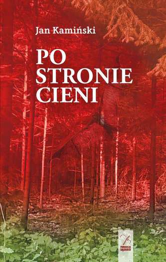 PO STRONIE CIENI