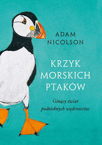 Krzyk morskich ptaków
