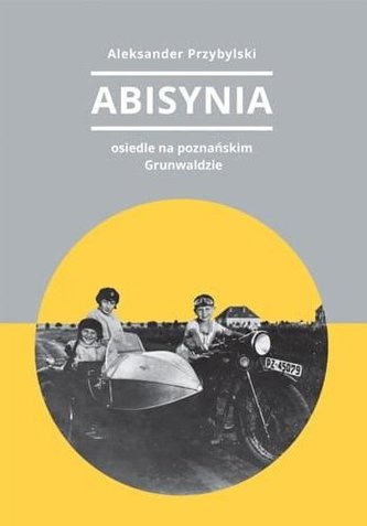Abisynia osiedle na poznańskim Grunwaldzie