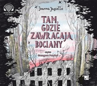 Tam gdzie zawracają bociany audiobook