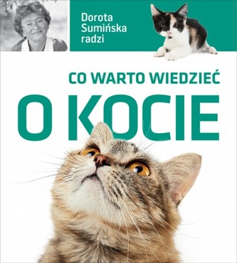 Co warto wiedzieć o kocie