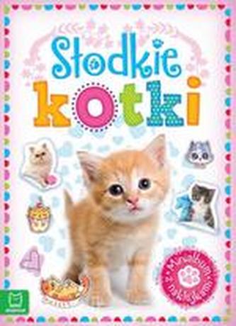 Minialbum z naklejkami Słodkie kotki
