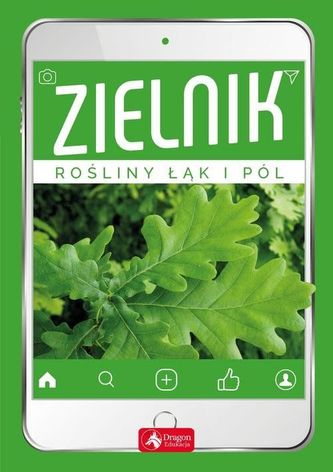 Zielnik Zielnik