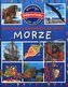 Morze. Obrazkowa encyklopedia dla dzieci