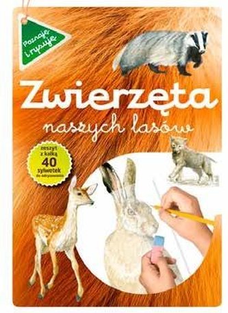 Poznaje i rysuję. Zwierzęta naszych lasów