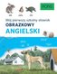 Mój pierwszy szkolny słownik obrazkowy angielski