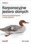 Korporacyjne jezioro danych