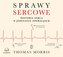 Sprawy sercowe audiobook